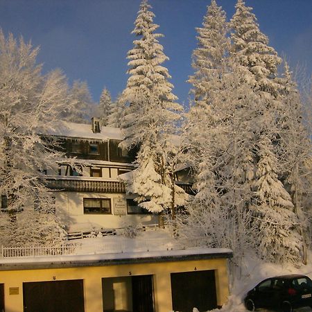 Pension Stiegelmeier Winterberg Bagian luar foto
