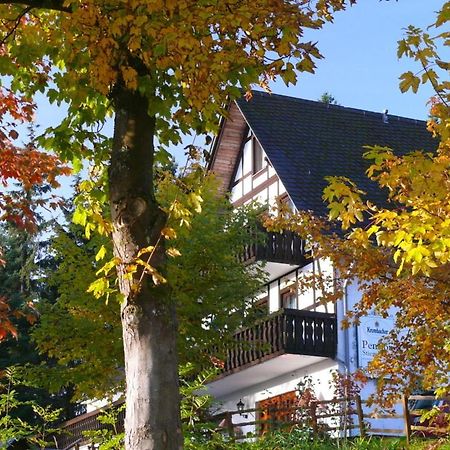 Pension Stiegelmeier Winterberg Bagian luar foto