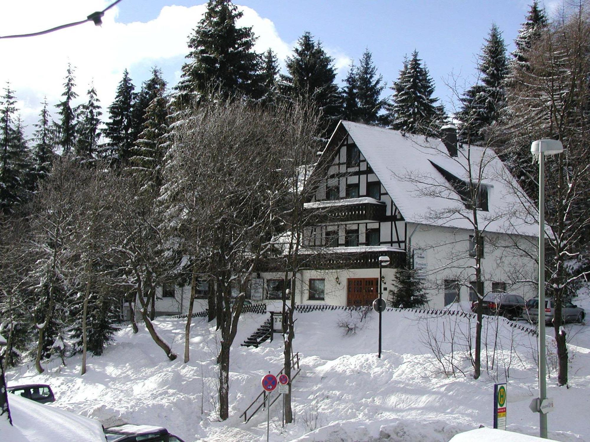 Pension Stiegelmeier Winterberg Bagian luar foto